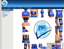 Tablet Screenshot of proice.net